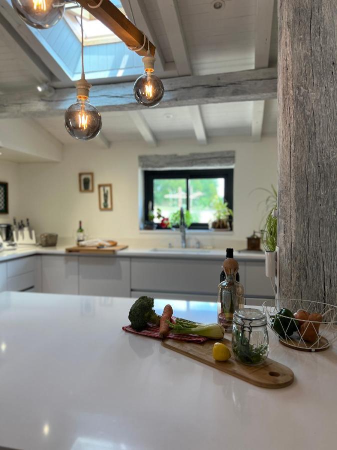Coulonges Hotel Savignac-sur-Leyze Екстериор снимка