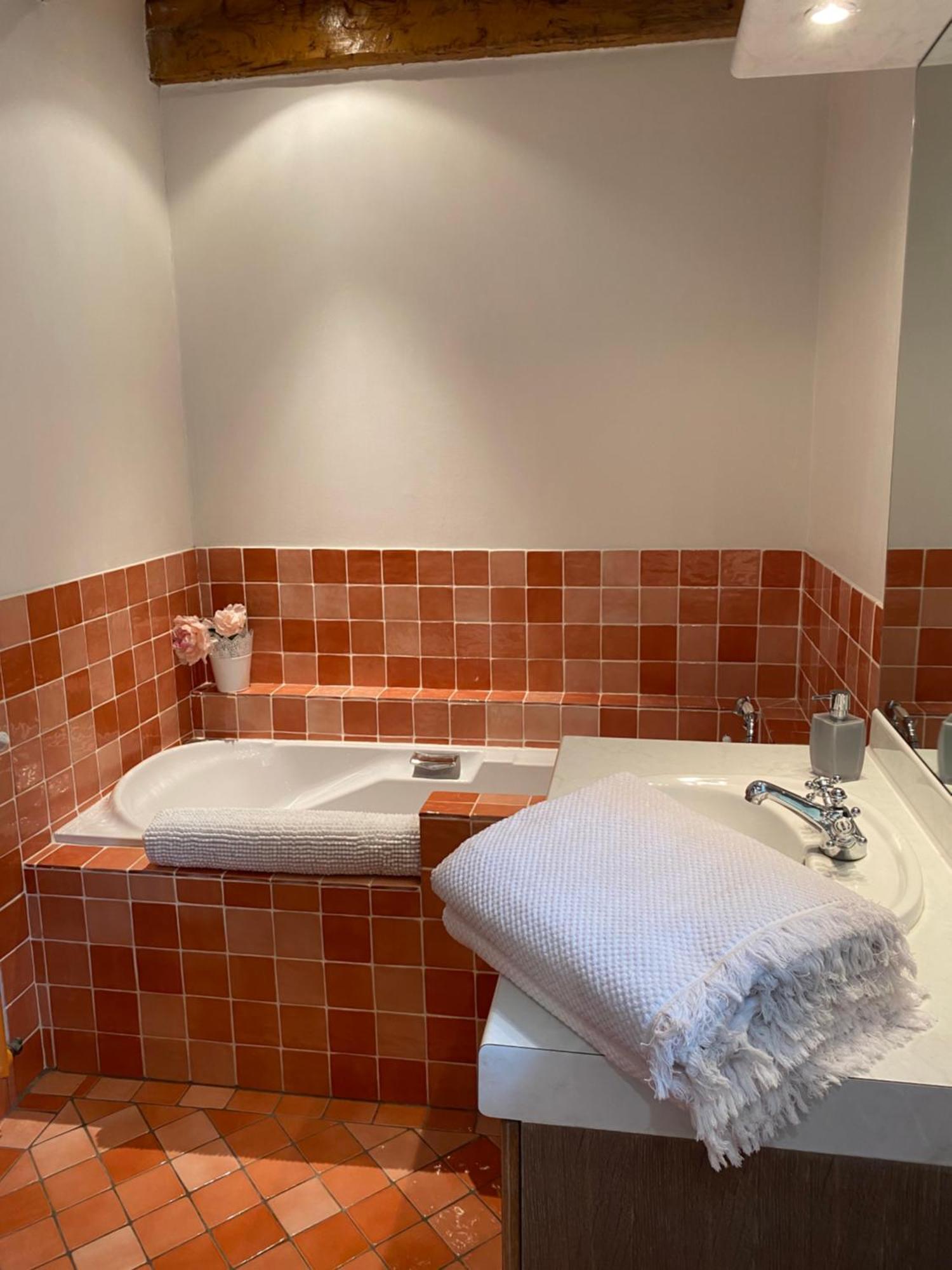 Coulonges Hotel Savignac-sur-Leyze Екстериор снимка